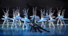Swan Lake