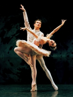 Rachel Peppin, Chi Cao 