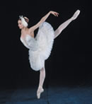 Swan Lake